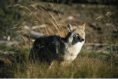 《百英雄传》NS实体版延期约一个月发售 5月21日