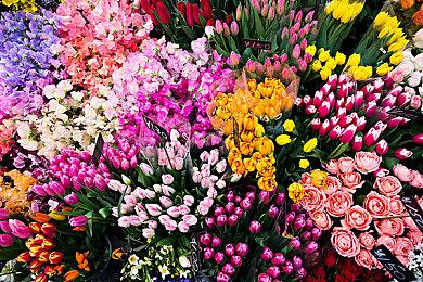 《无职转生》Steam页面上线 3D迷宫探索RPG